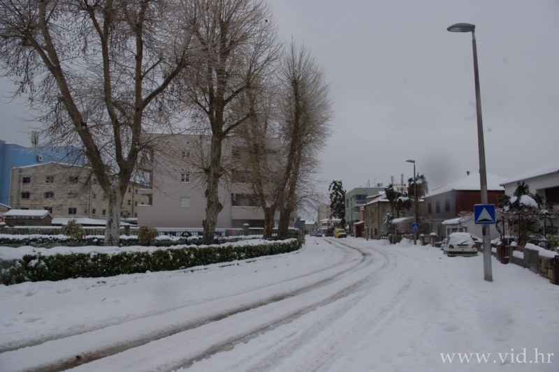 Metkovic (29)